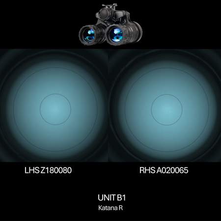 PREBUILT Blemished Systems