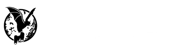 Nocturn Industries